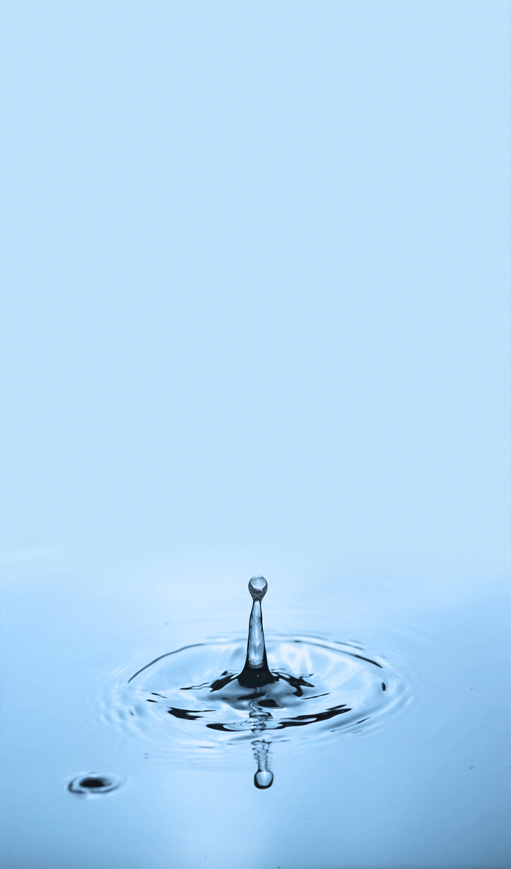 05b2ab40bf7e5d399df06422ec86234e_1787615960_5177.gif